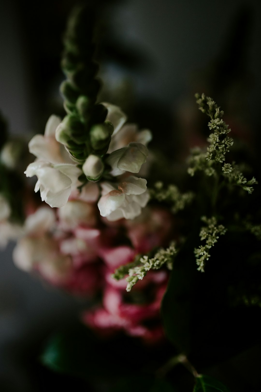 Family Heirlooms