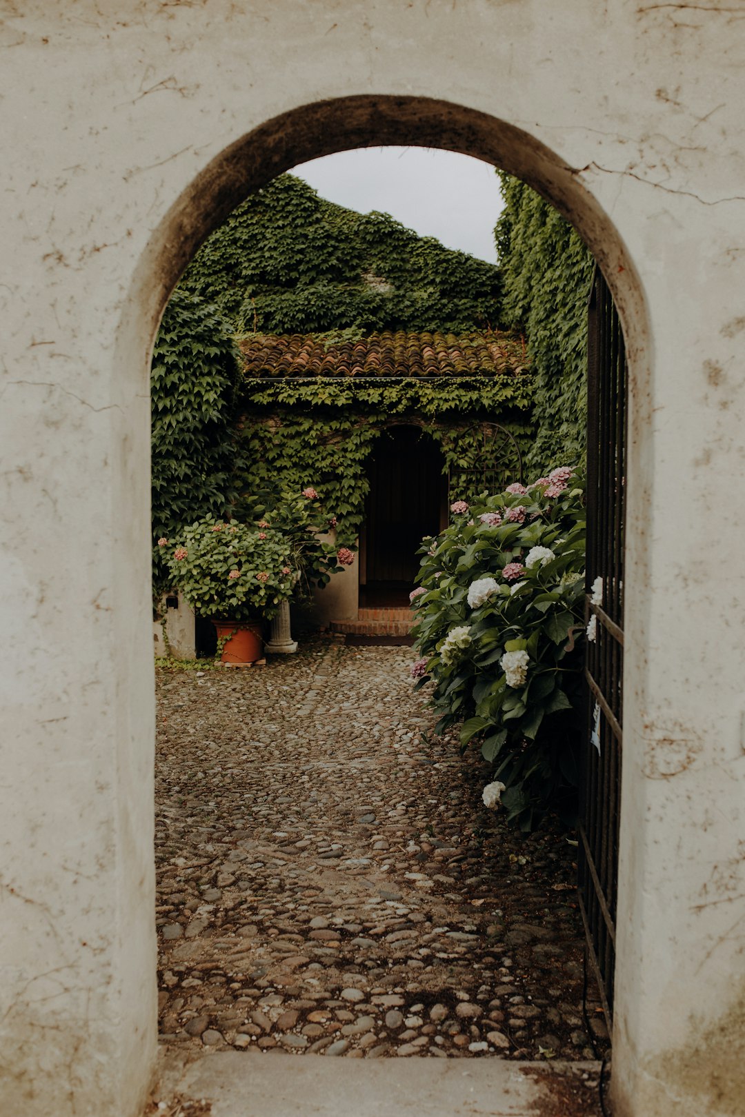 Rustic Wedding